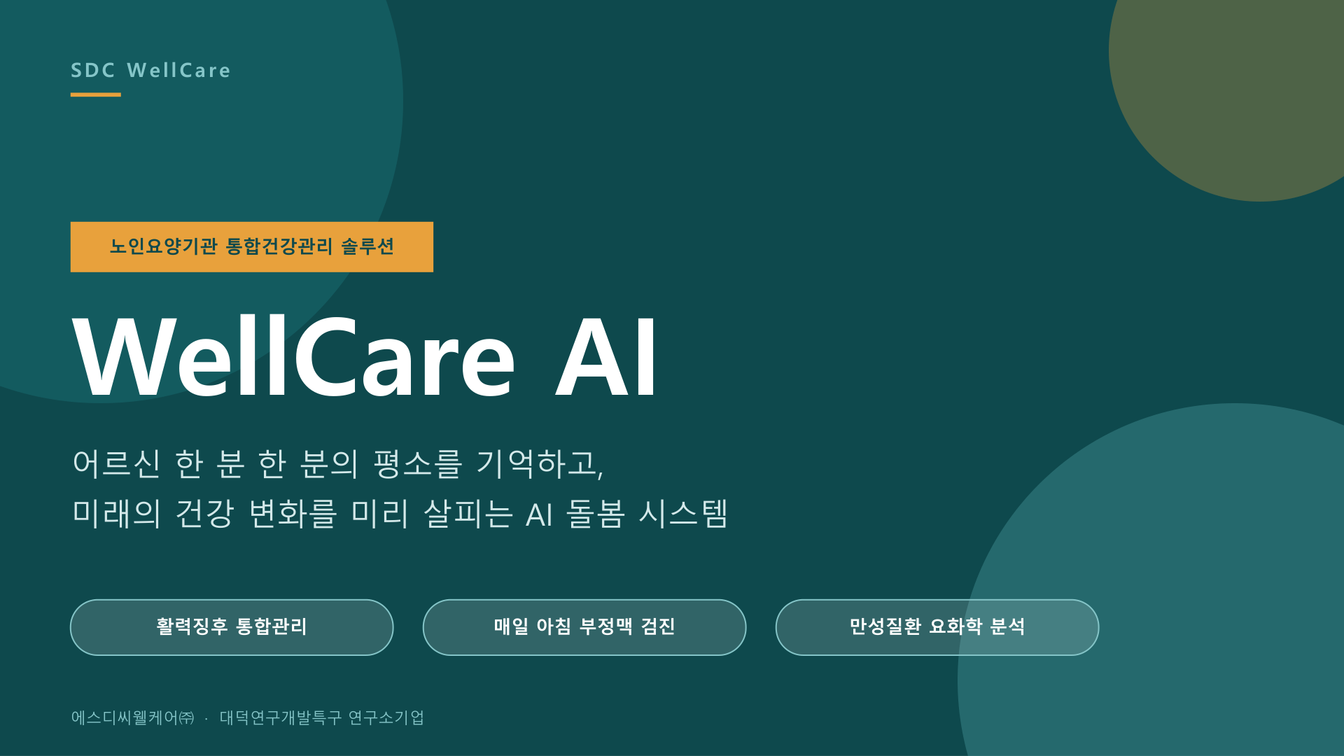 WellCare AI 서비스소개서